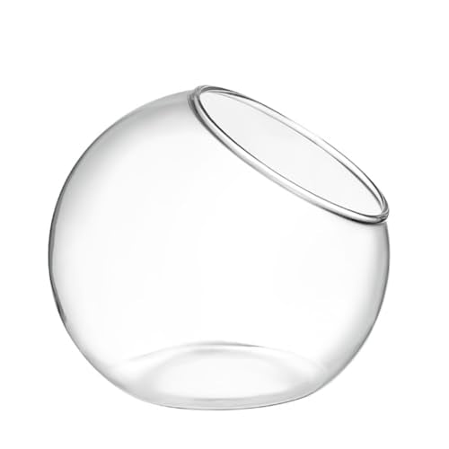 HASTHIP® Plant Terrarium Display Glass Tabletop Succulen HASTHIP® Plant Terrarium Display Glass Tabletop Succulen